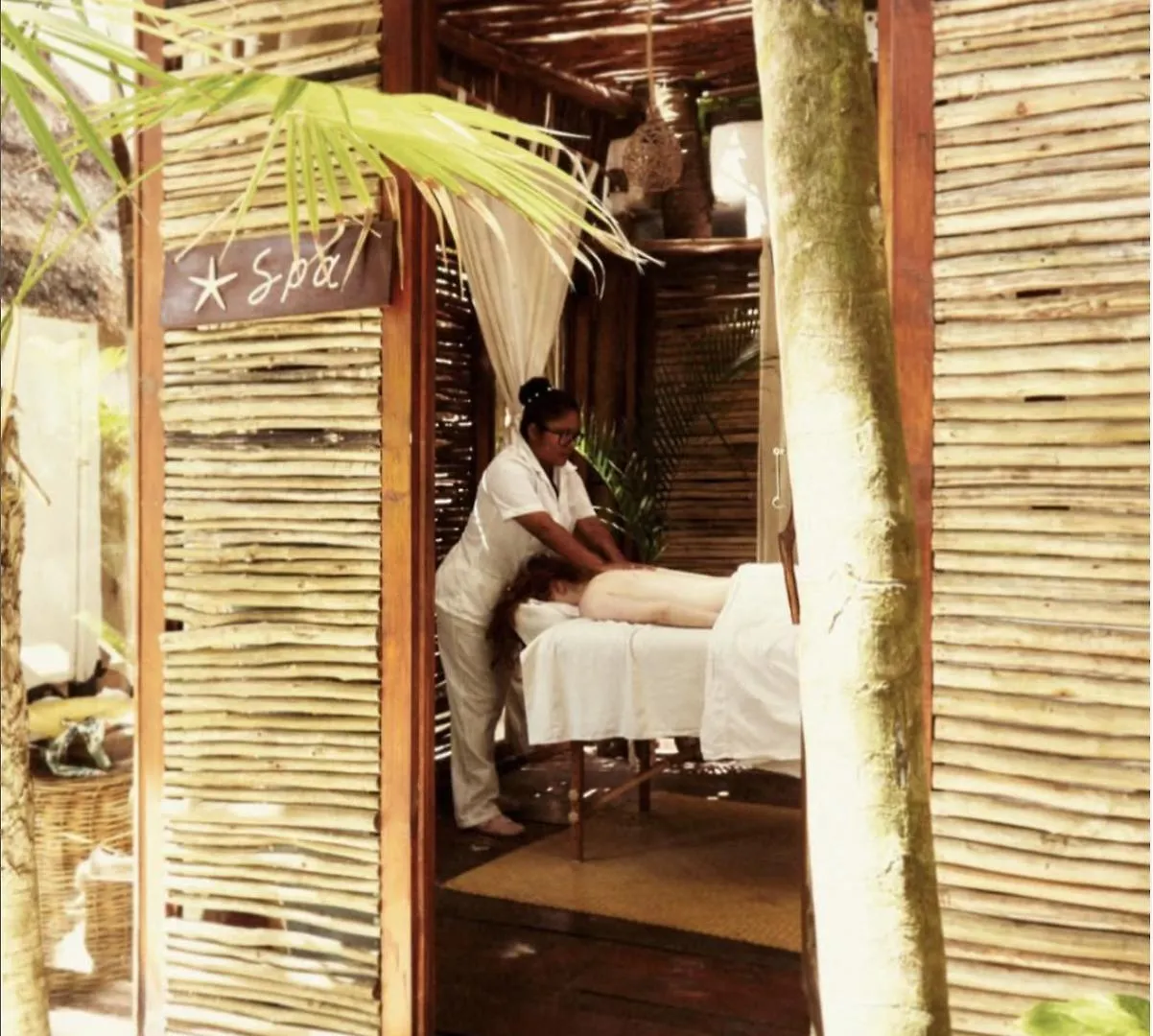 Casa Violeta Hotel Tulum