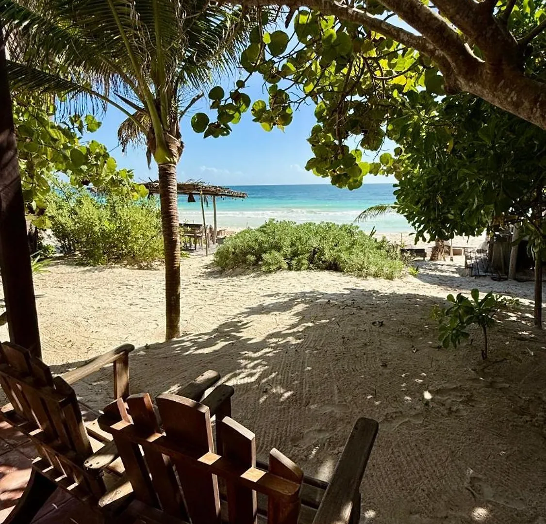 Casa Violeta Hotel Tulum Mexico