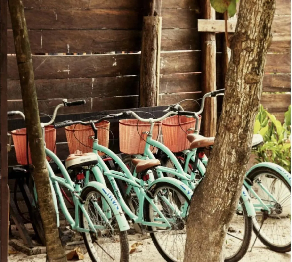 Casa Violeta Hotel Tulum