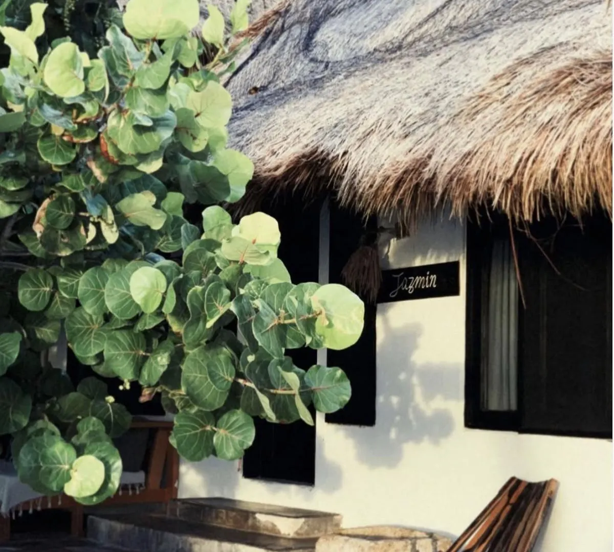Casa Violeta Hotel Tulum