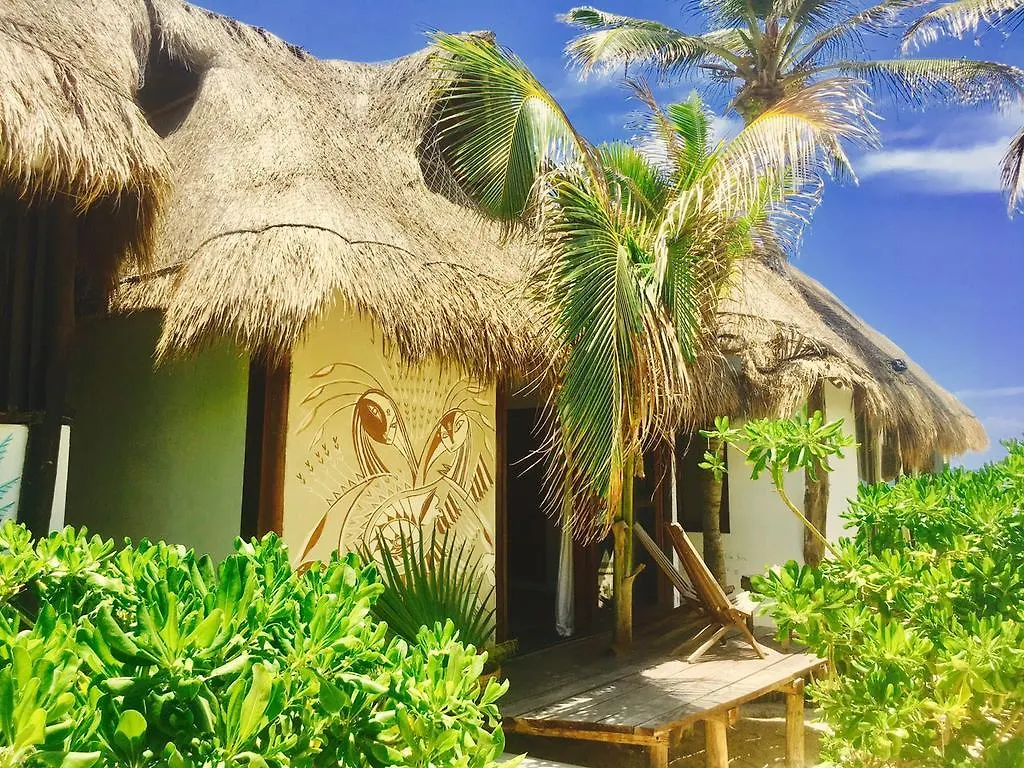 Casa Violeta Hotel Tulum Mexico