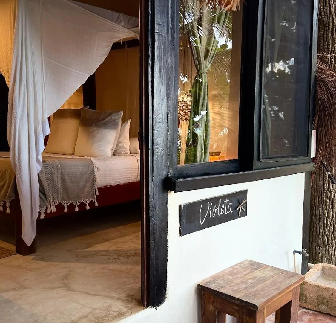 ***  Hotel Casa Violeta Tulum Mexiko