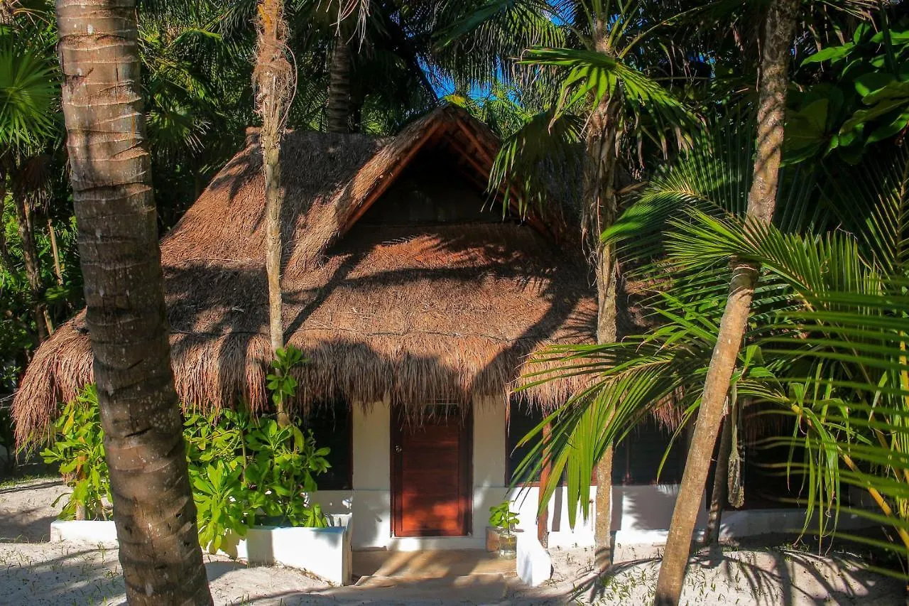 Hotel Casa Violeta Tulum